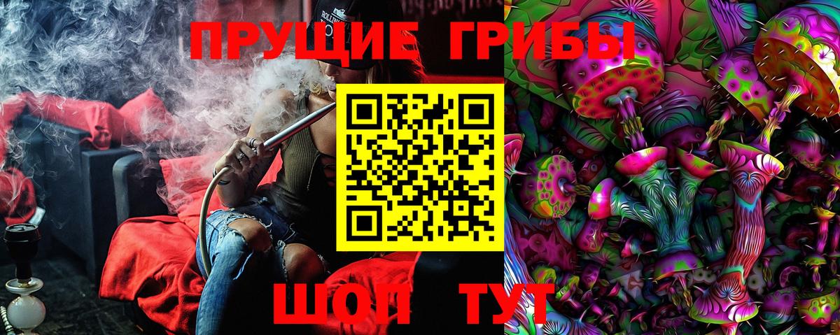 Псилоцибиновые грибы GOLDEN TEACHER  Вход с VPN  купить закладку  Кыштым 