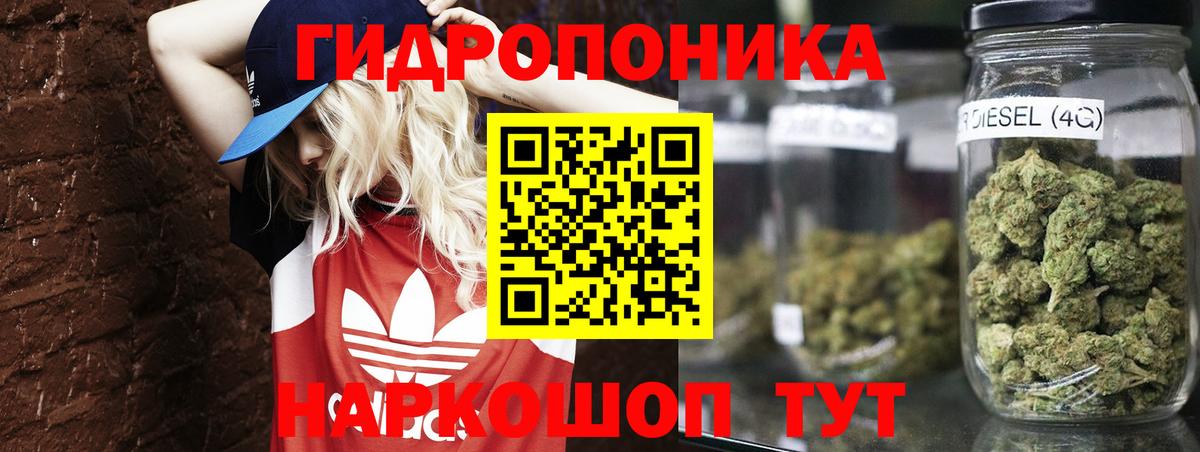 Конопля SATIVA & INDICA  Марихуана конопля  МАРИХУАНА White Widow  Кыштым  Вход с VPN 